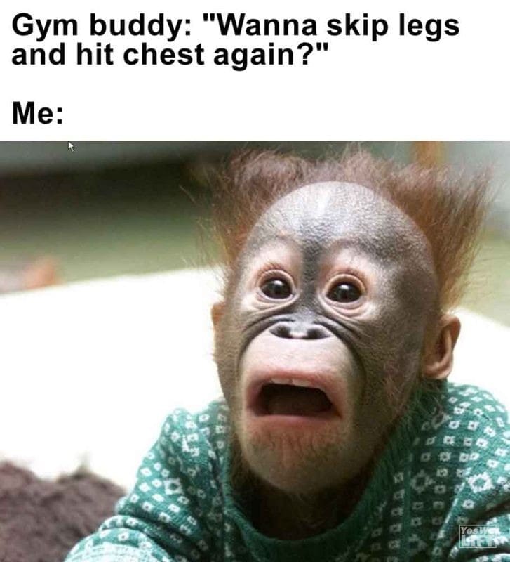 549 - Gym Buddy Wanna Skip Legs And Hit Chest Again Me
