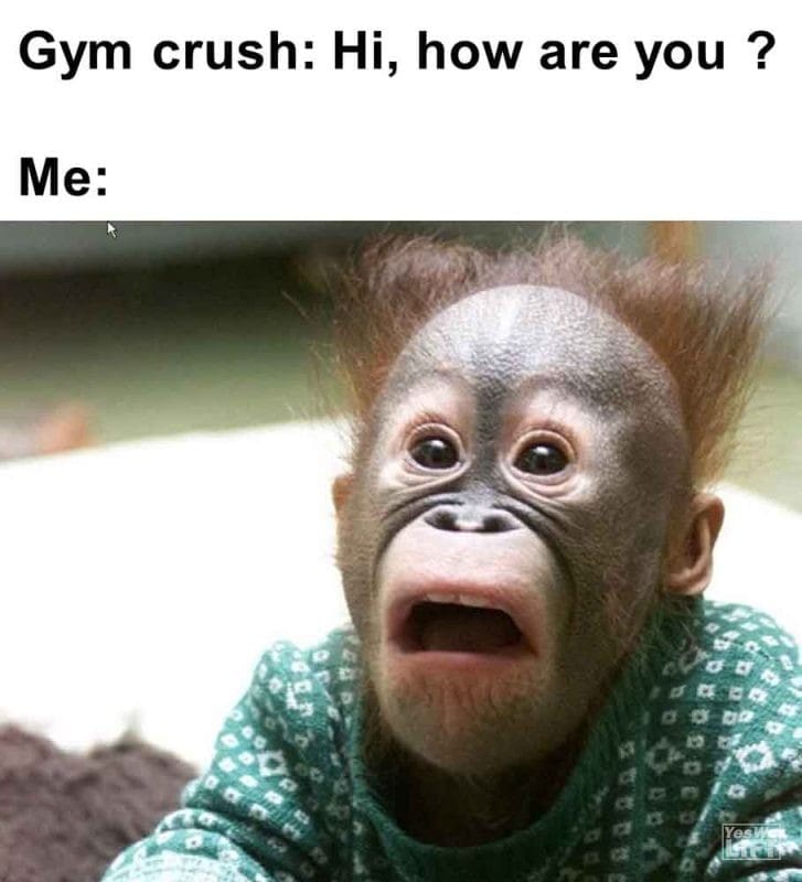 549 - Gym Crush Hi, How Are You Me