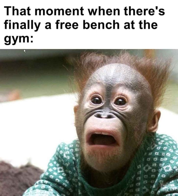 549 - That Moment When There's Finally A Free Bench At The Gym