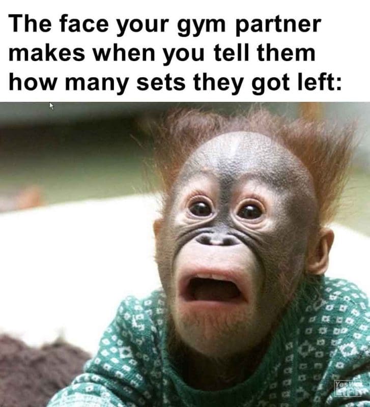 549 - The Face Your Gym Partner Makes When You Tell Them How Many Sets They Got Left