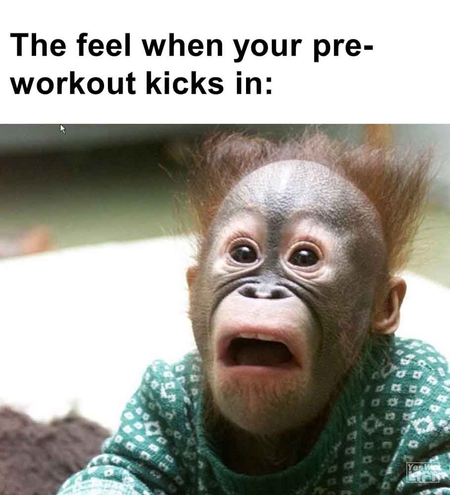 549 - The Feel When Your Preworkout Kicks In