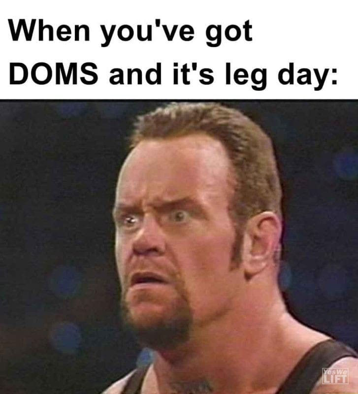 552 - When You've Got Doms And It's Leg Day