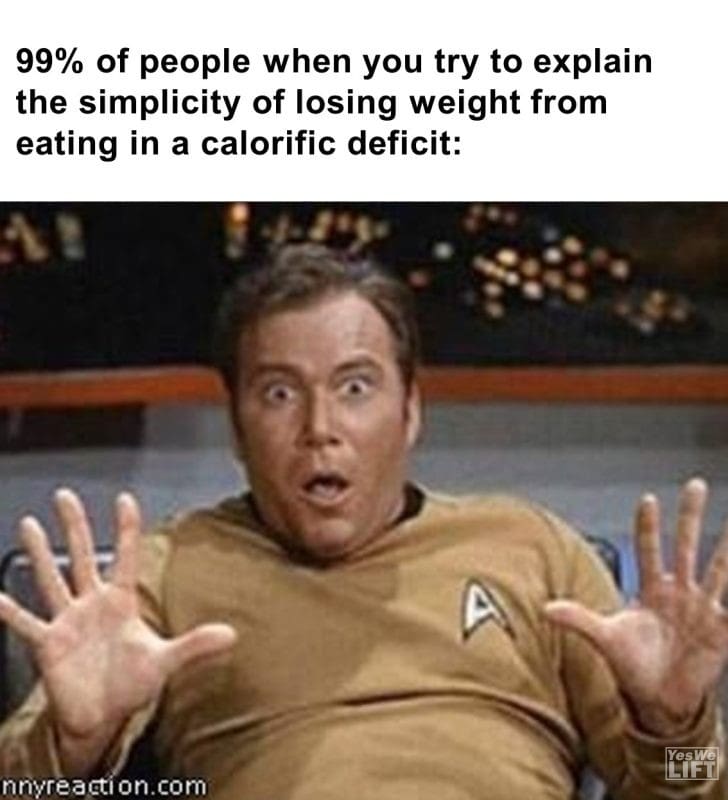 556 - 99 Of People When You Try To Explain The Simplicity Of Losing Weight From Eating In A Calorific Deficit