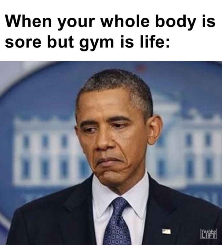 591   When Your Whole Body Is Sore But Gym Is Life