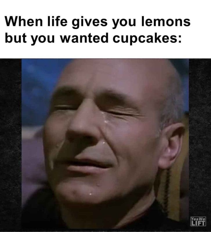 592 - When Life Gives You Lemons But You Wanted Cupcakes