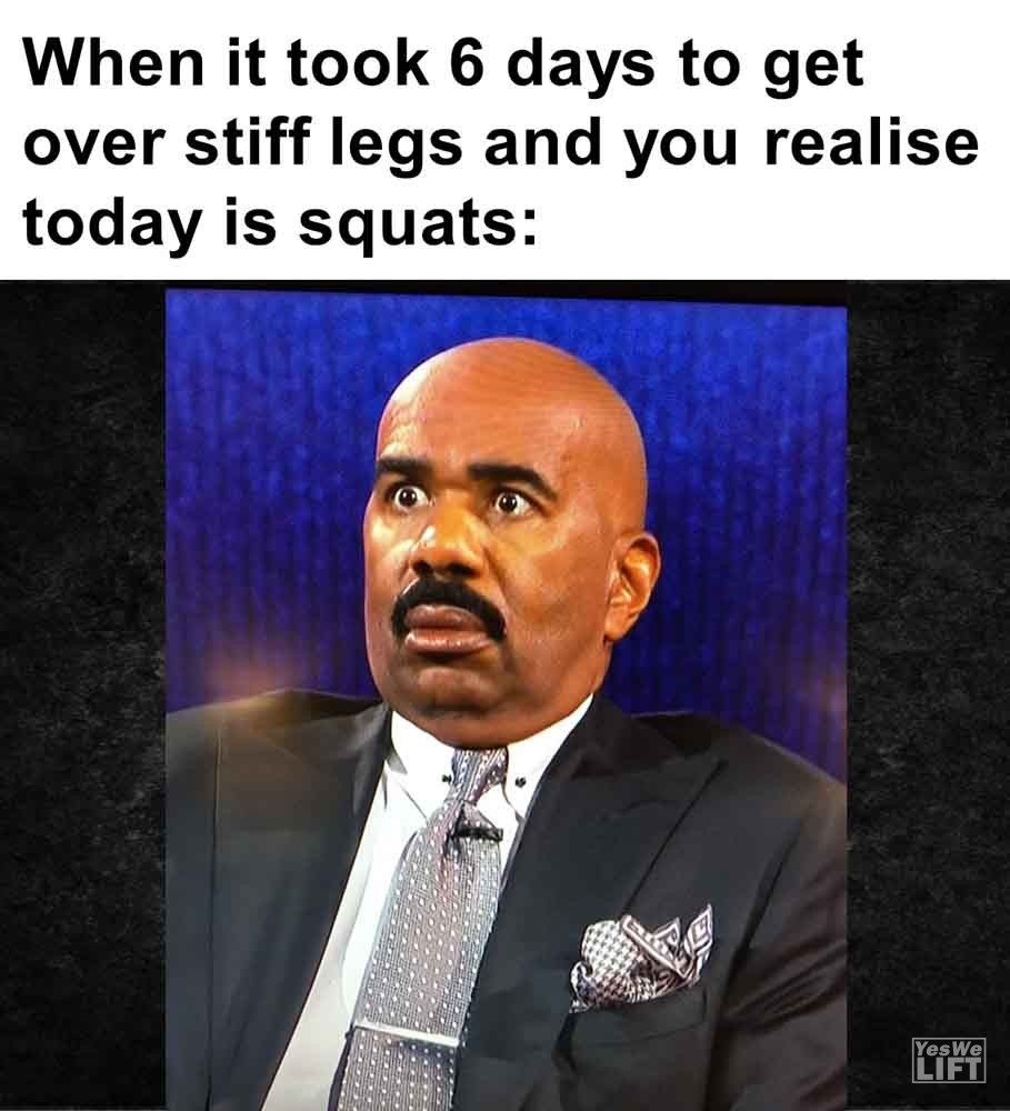 598   When It Took 6 Days To Get Over Stiff Legs And You Realise Today Is Squats