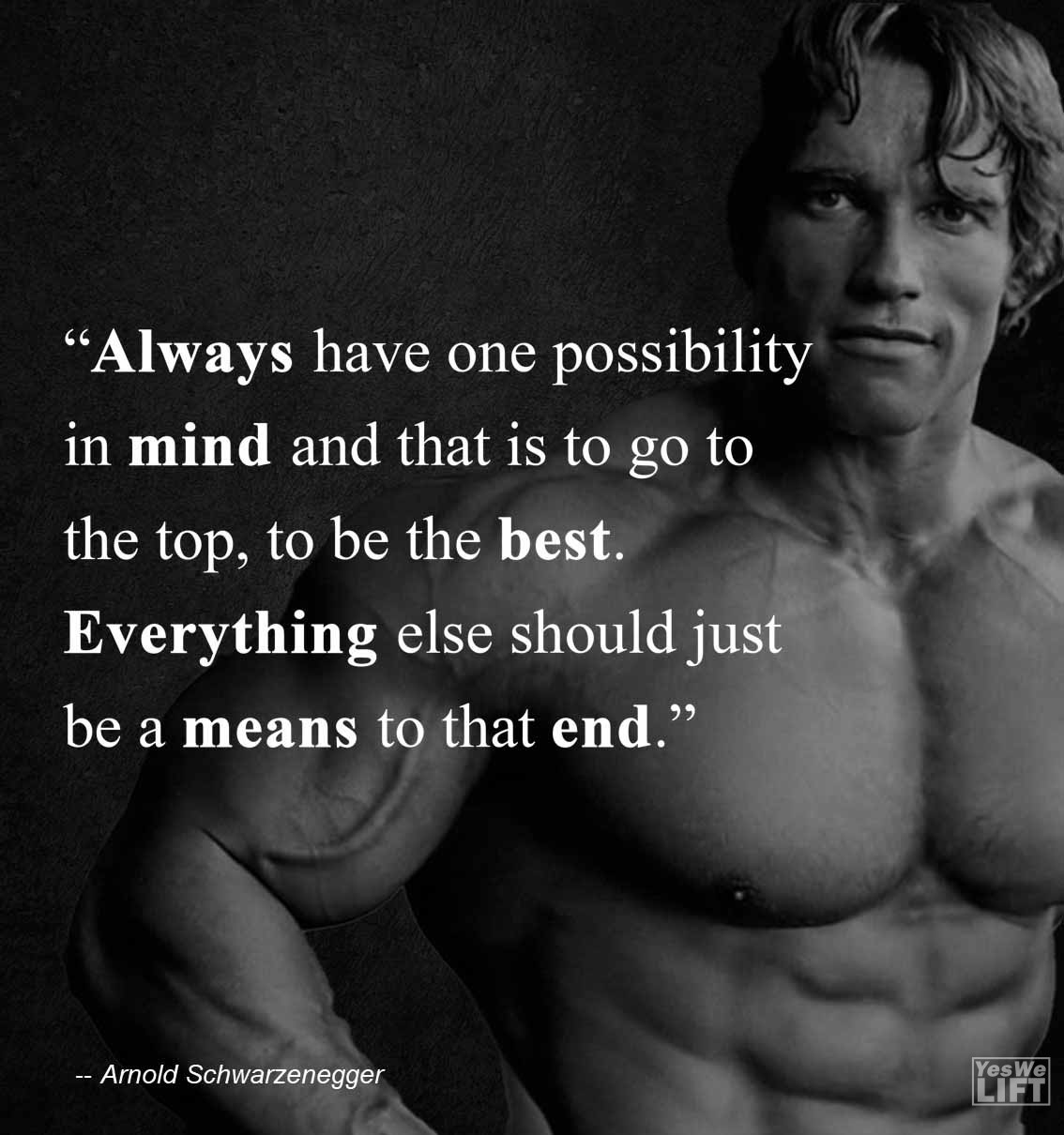 Arnold Shwarzenegger Always Have One Possibility In Mind And That Is To Go To The Top, To Be The Best Everything Else Should Just Be A Means To That End