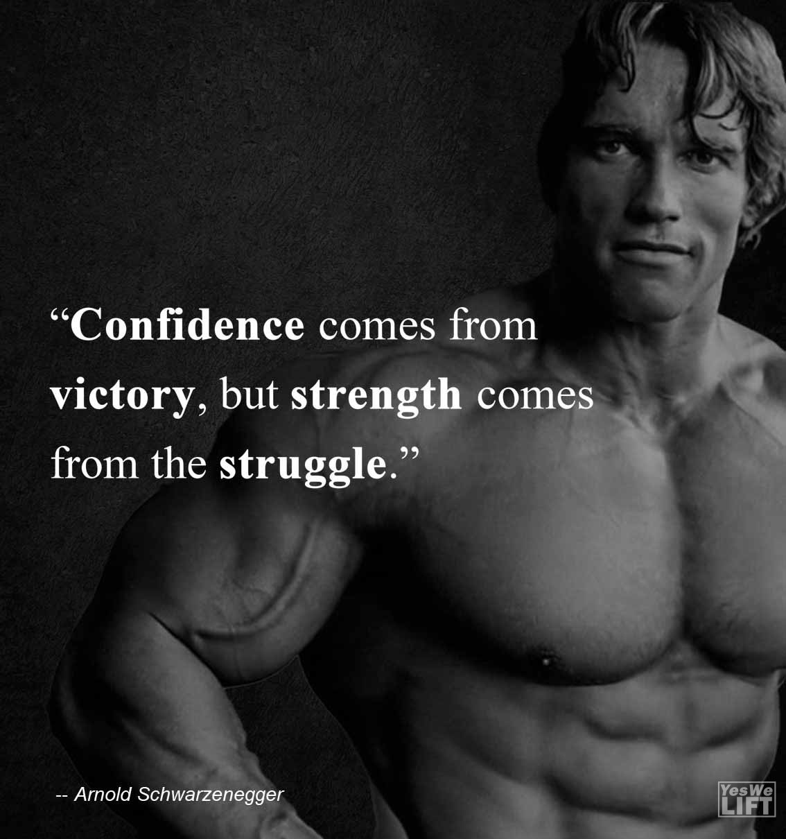 Arnold Shwarzenegger   Confidence Comes From Victory, But Strength Comes From The Struggle