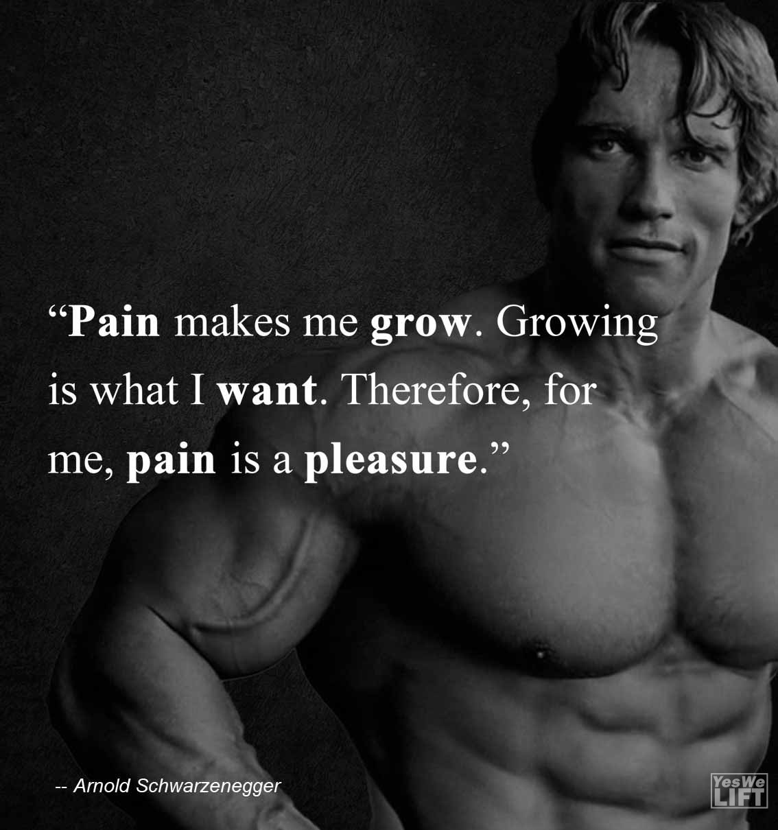 Arnold Shwarzenegger Pain Makes Me Grow Growing Is What I Want Therefore, For Me, Pain Is A Pleasure