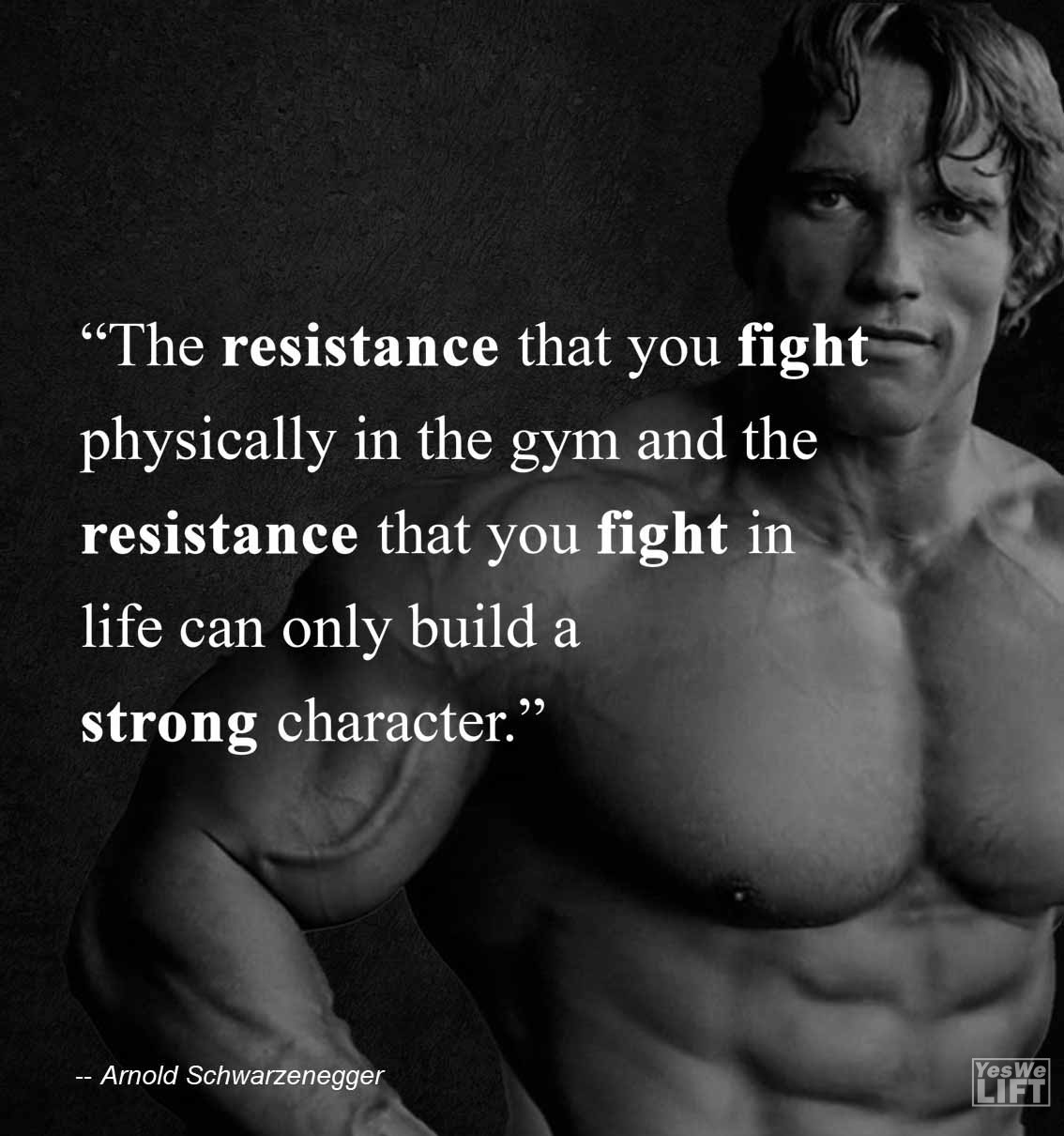 Arnold Shwarzenegger   The Resistance That You Fight Physically In The Gym And The Resistance That You Fight In Life Can Only Build A Strong Character