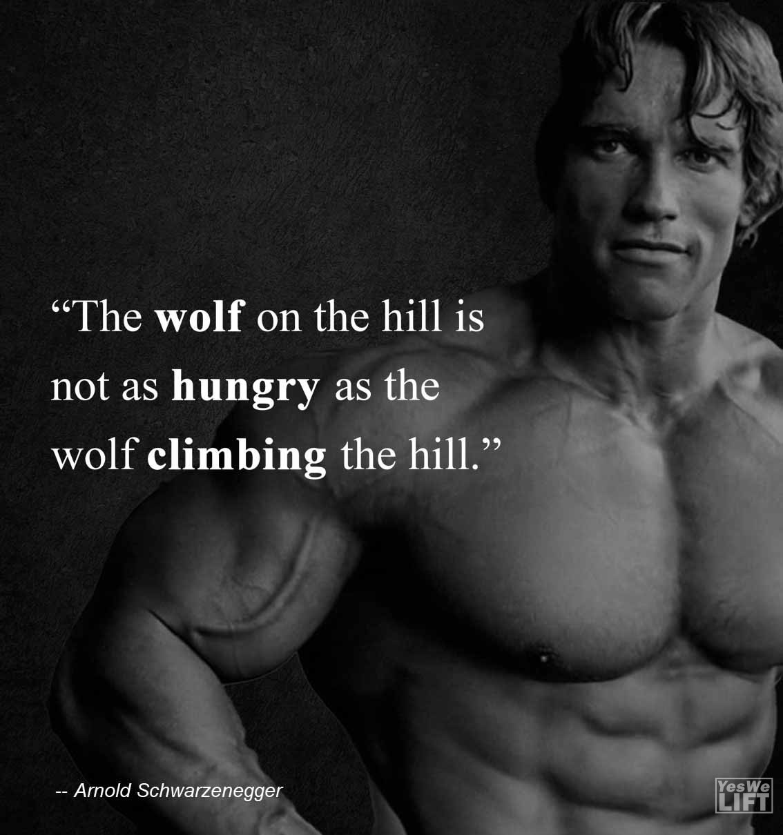 Arnold Shwarzenegger   The Wolf On The Hill Is Not As Hungry As The Wolf Climbing The Hill