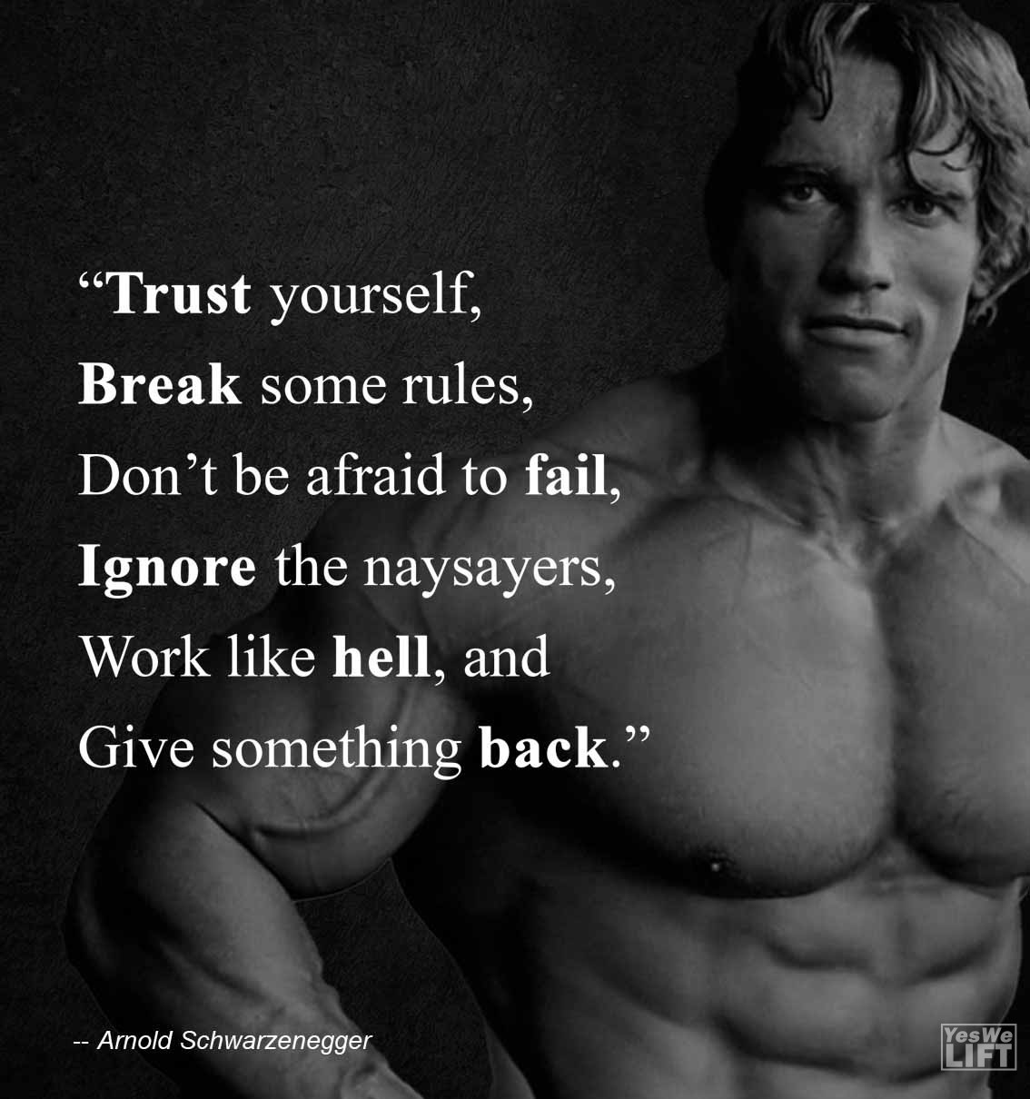 Arnold Shwarzenegger   Trust Yourself, Break Some Rules, Dont Be Afraid To Fail, Ignore The Naysayers, Work Like Hell, And Give Something Back