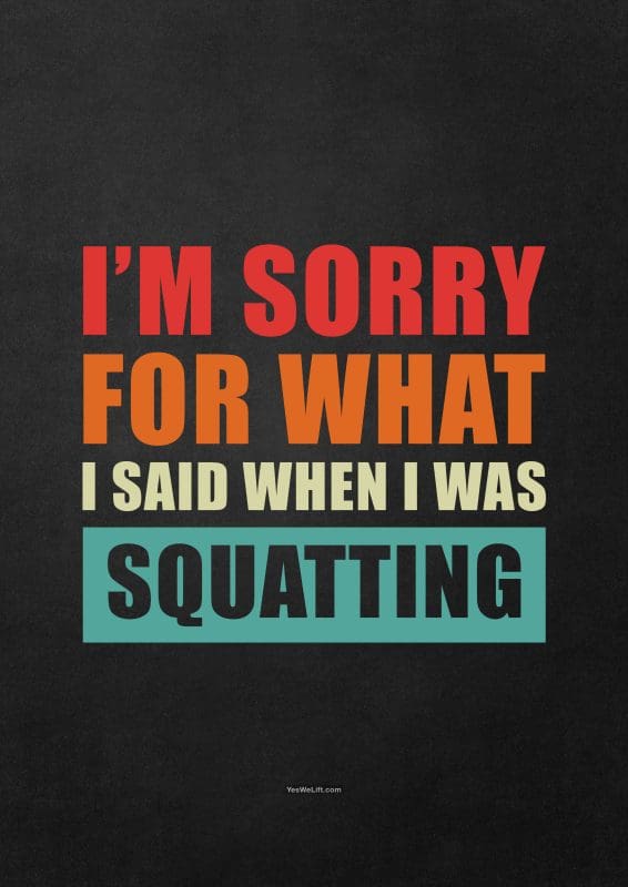 I'm Sorry For What I Said When I Was Squatting_1