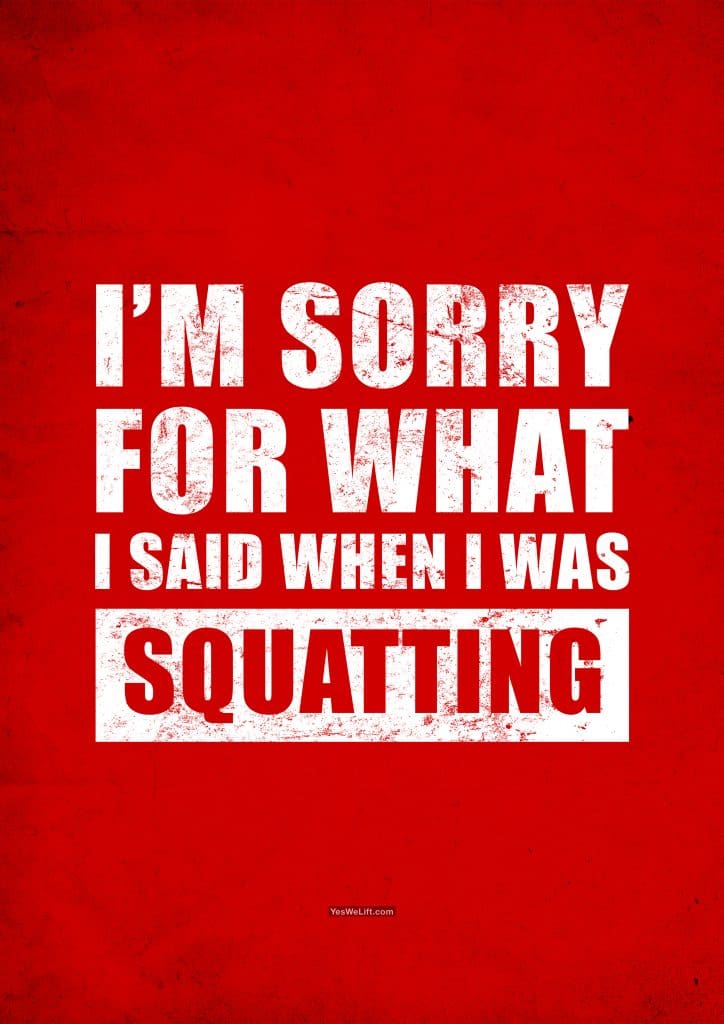 I'm Sorry For What I Said When I Was Squatting_10