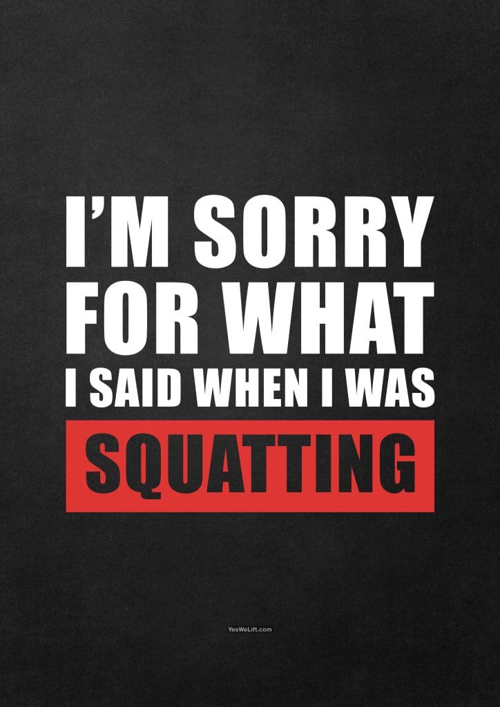 I'm Sorry For What I Said When I Was Squatting_11