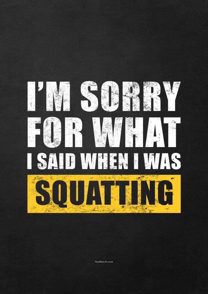 I'm Sorry For What I Said When I Was Squatting_14
