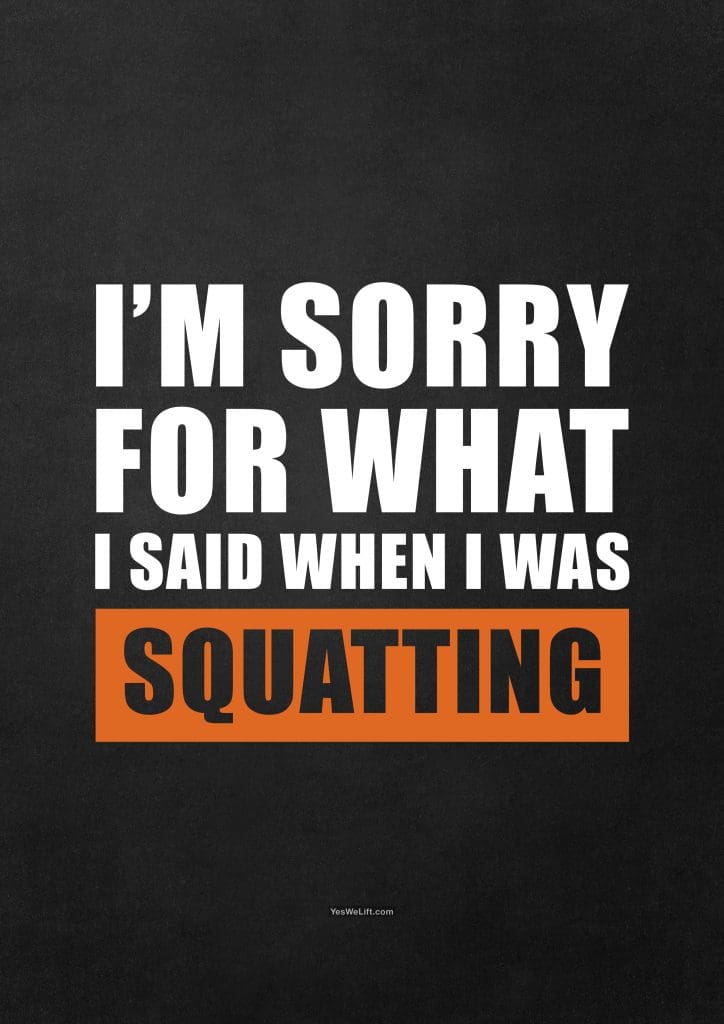 I'm Sorry For What I Said When I Was Squatting_15
