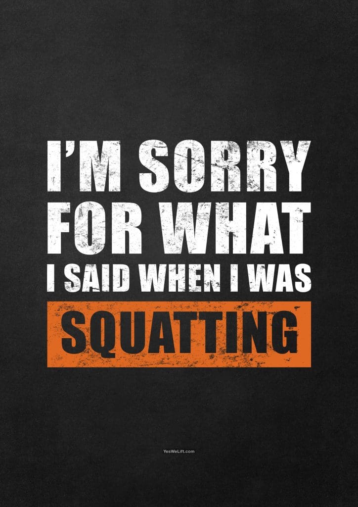 I'm Sorry For What I Said When I Was Squatting_16