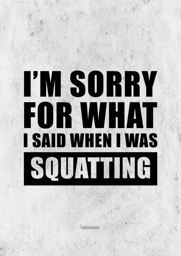 I'm Sorry For What I Said When I Was Squatting_17