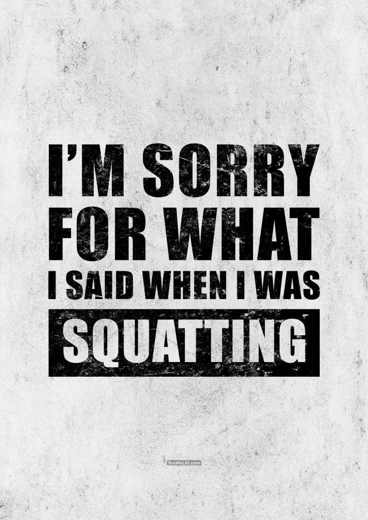 I'm Sorry For What I Said When I Was Squatting_18
