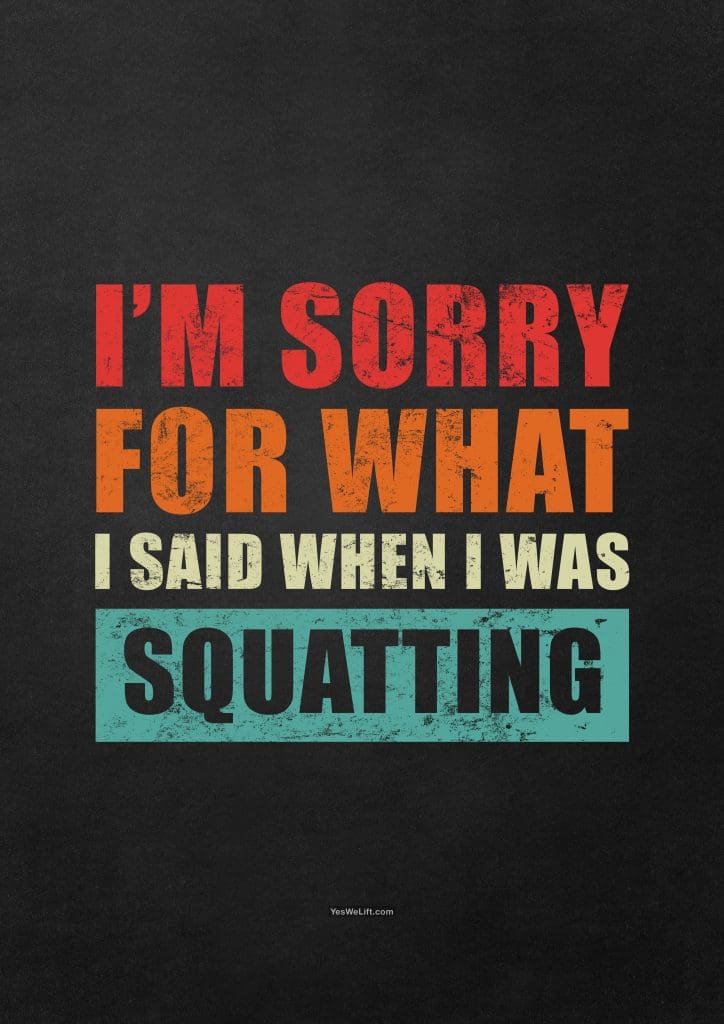 I'm Sorry For What I Said When I Was Squatting_2