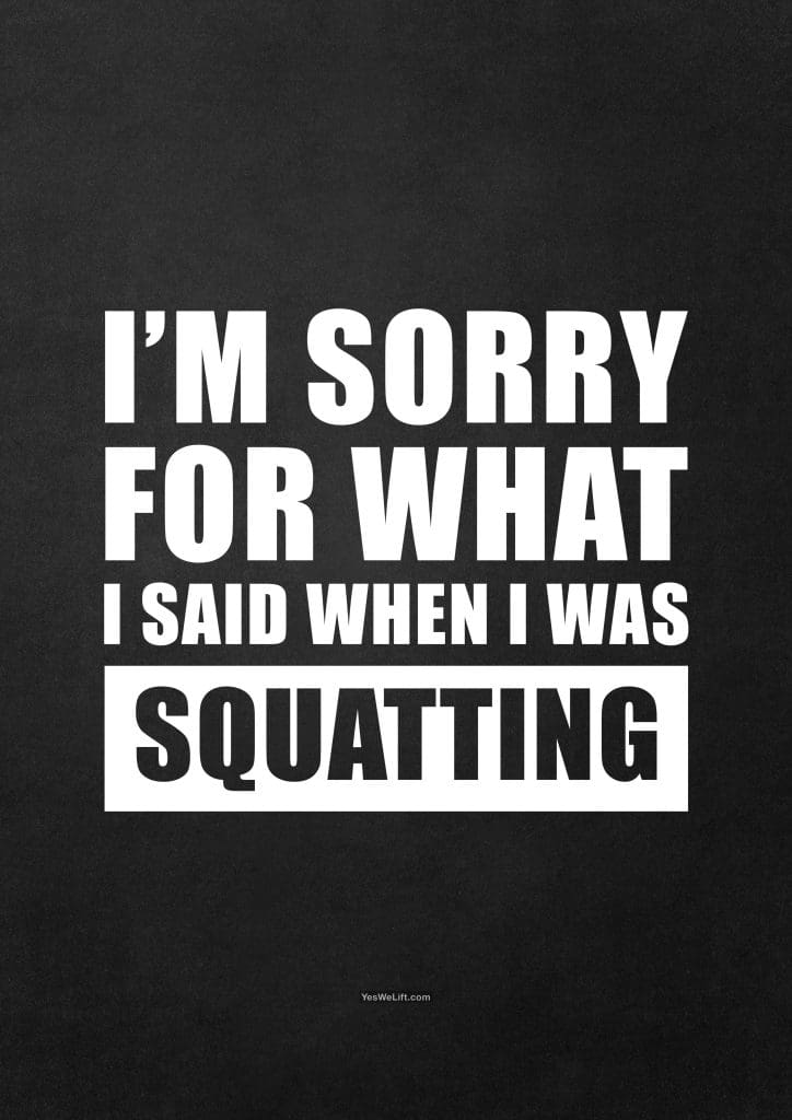 I'm Sorry For What I Said When I Was Squatting_3