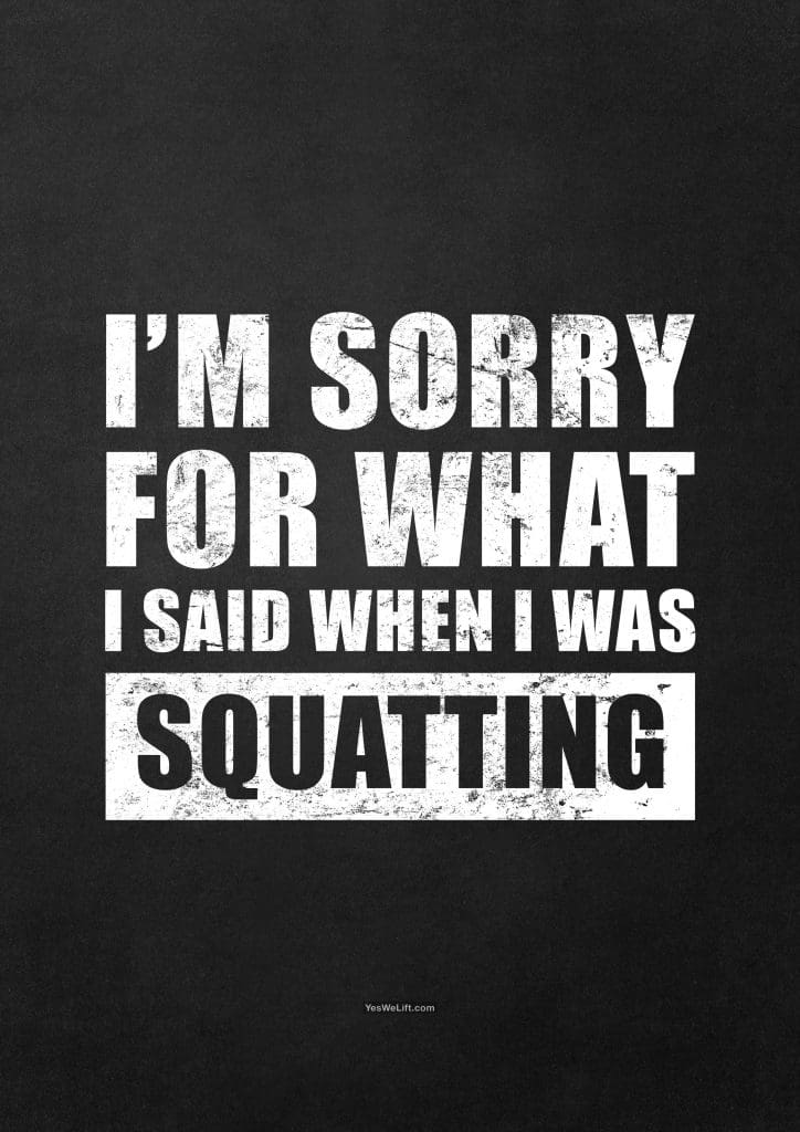 I'm Sorry For What I Said When I Was Squatting_4