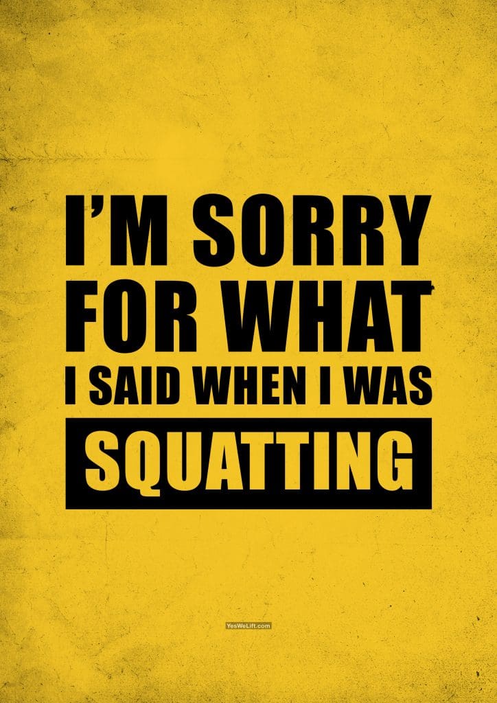 I'm Sorry For What I Said When I Was Squatting_5