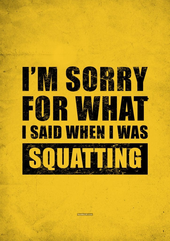 I'm Sorry For What I Said When I Was Squatting_6