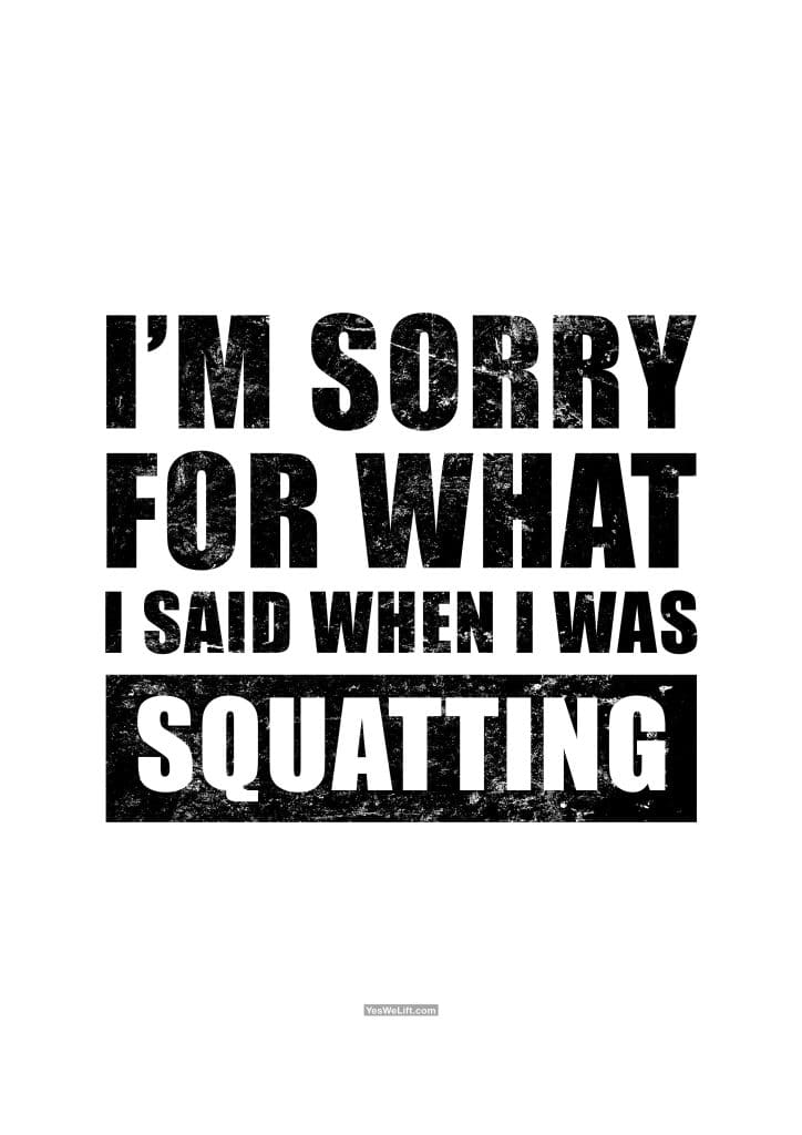 I'm Sorry For What I Said When I Was Squatting_8
