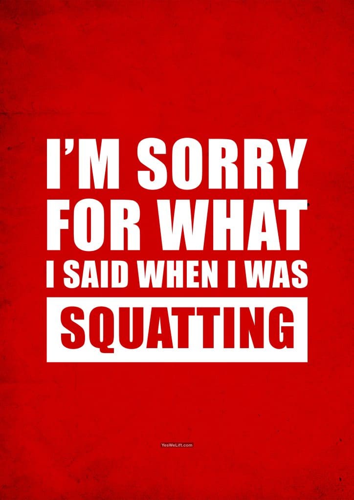 I'm Sorry For What I Said When I Was Squatting_9