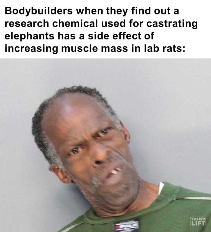 Bodybuilders When They Find Out A Research Chemical Used For Castrating Elephants Has