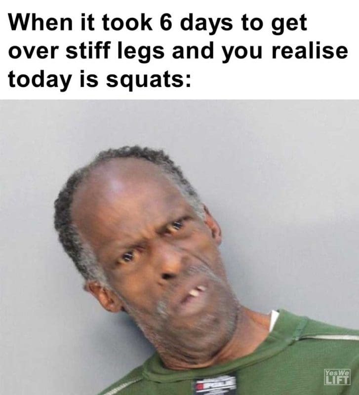 When It Took Days To Get Over Stiff Legs And You Realise Today Is Squats