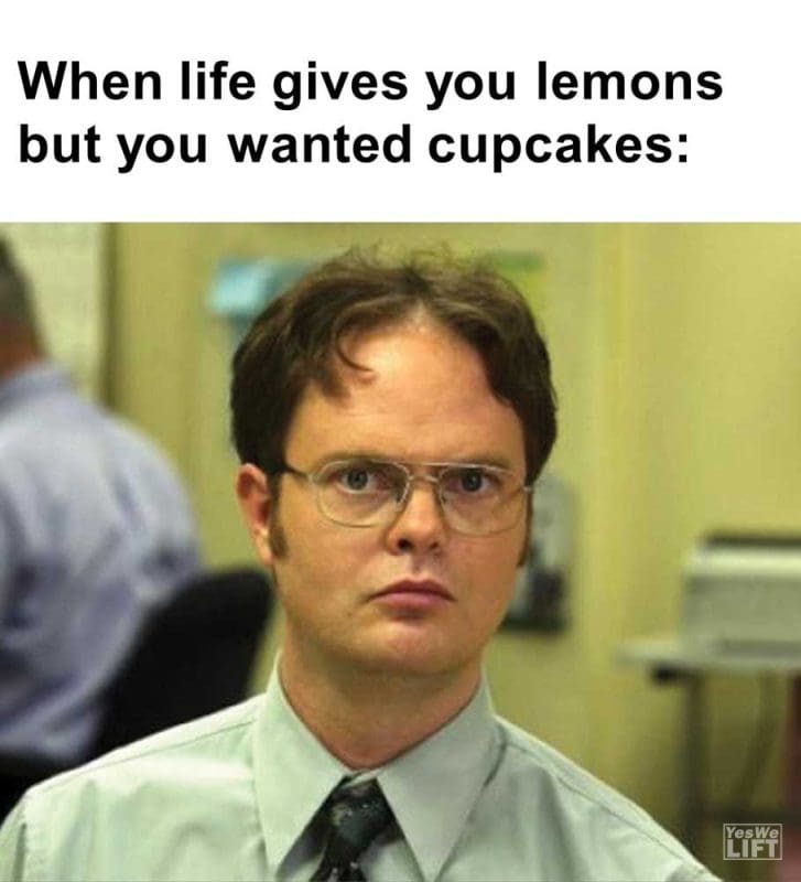 When Life Gives You Lemons But You Wanted Cupcakes