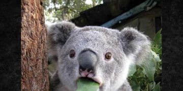 Me After Days Of Ketosis And I've Lost Lb