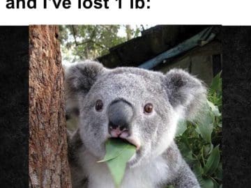 Me After Days Of Ketosis And I've Lost Lb