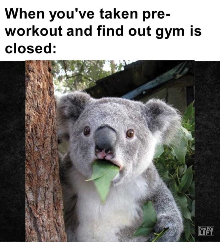 When You've Taken Preworkout And Find Out Gym Is Closed