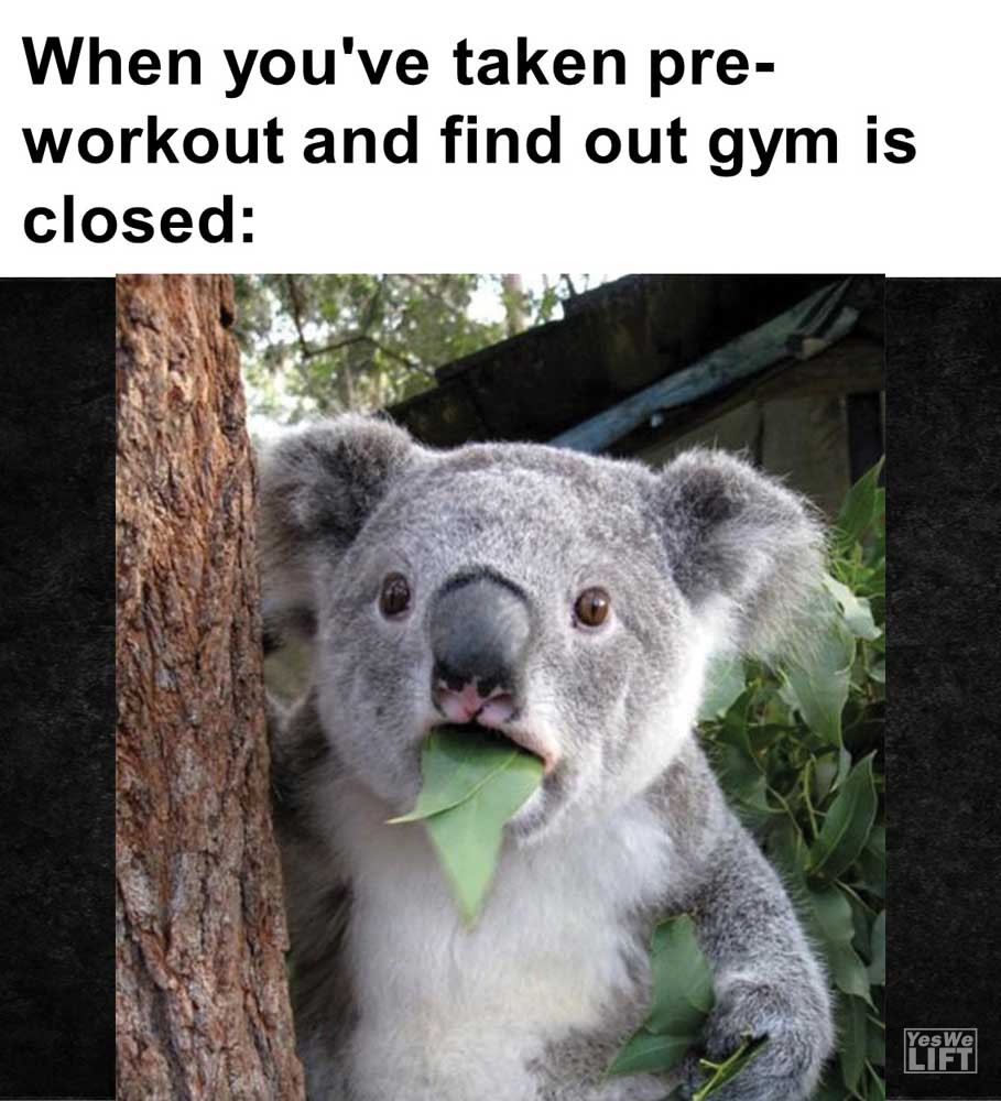 When You've Taken Preworkout And Find Out Gym Is Closed