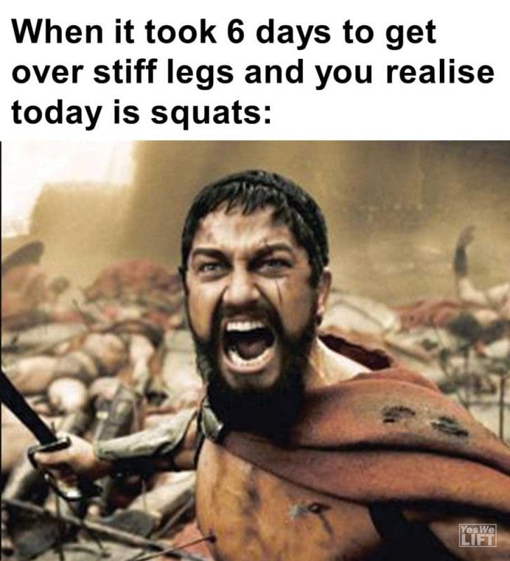 When It Took Days To Get Over Stiff Legs And You Realise Today Is Squats