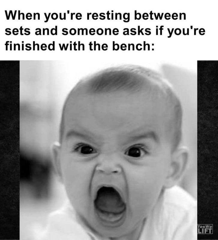 When You're Resting Between Sets And Someone Asks If You're Finished With The Bench