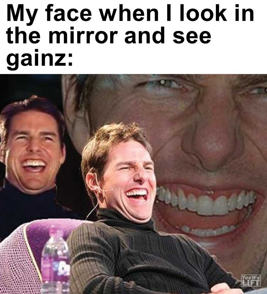 My Face When I Look In The Mirror And See Gainz