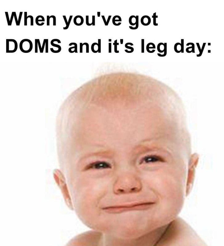 When You've Got Doms And It's Leg Day