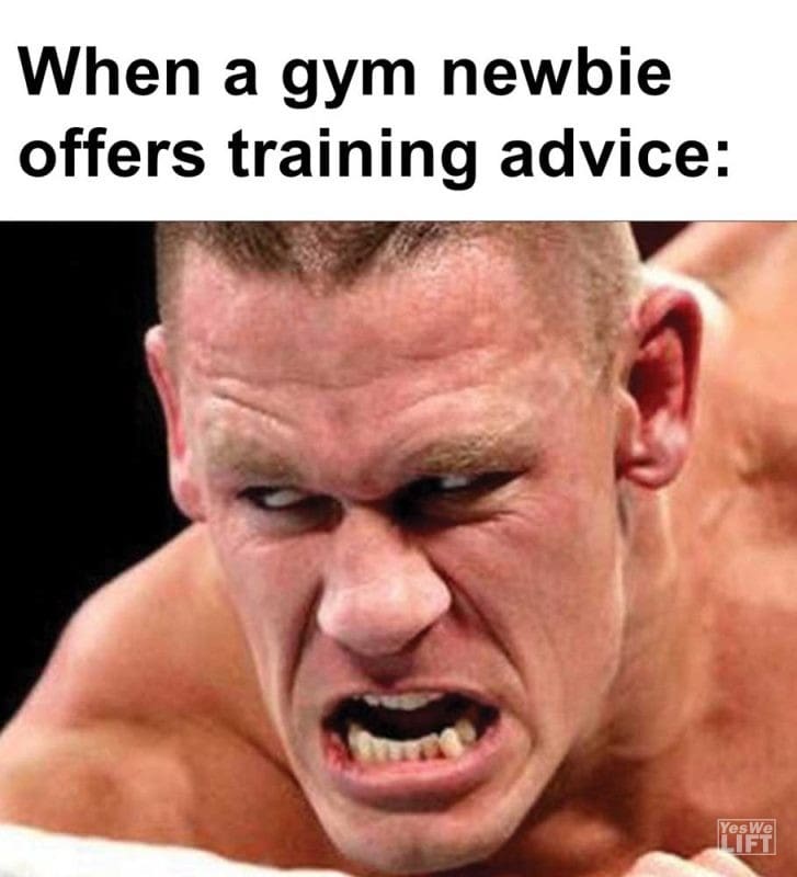 When A Gym Newbie Offers Training Advice