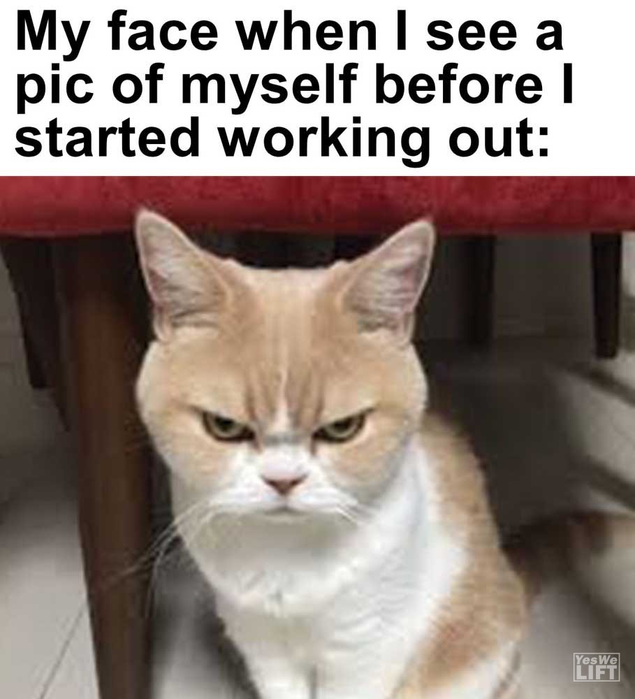 My Face When I See A Pic Of Myself Before I Started Working Out