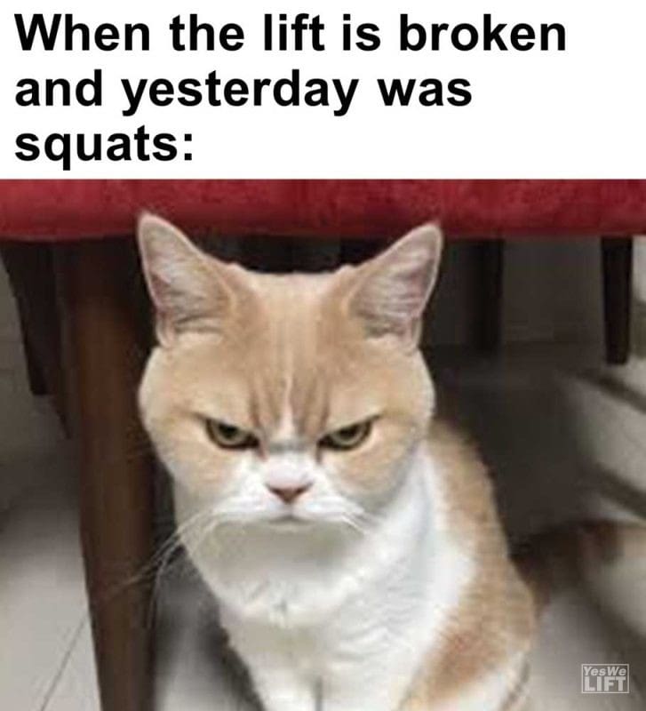 When The Lift Is Broken And Yesterday Was Squats