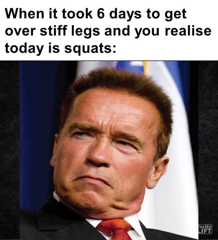 When It Took Days To Get Over Stiff Legs And You Realise Today Is Squats