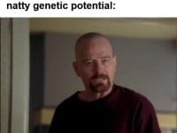 When Someone Asks If You Work Out When You've Almost Hit Your Natty Genetic Potential frame at ms