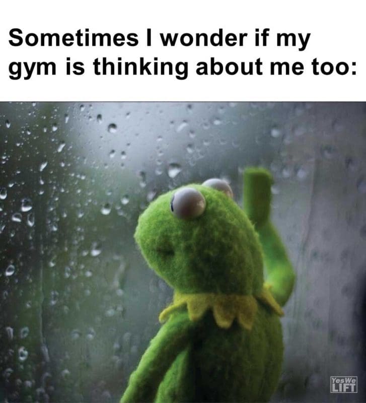 Sometimes I Wonder If My Gym Is Thinking About Me Too