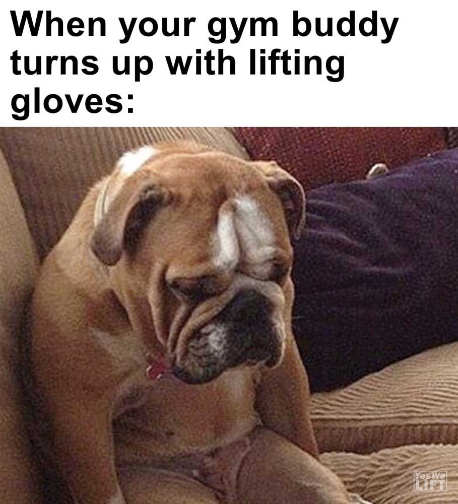When Your Gym Buddy Turns Up With Lifting Gloves