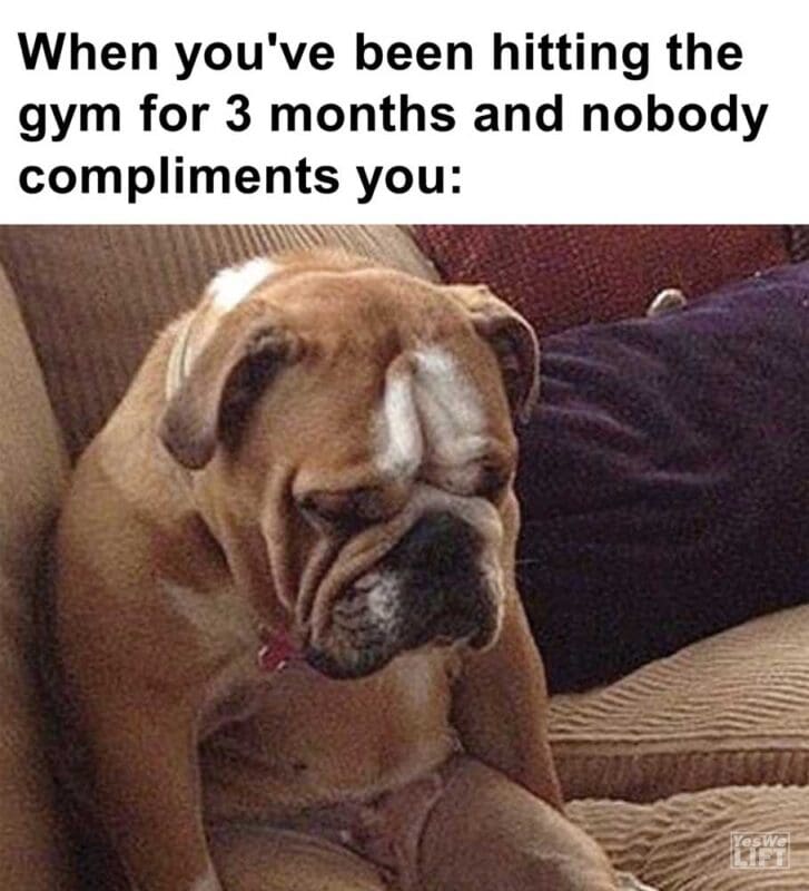 When You've Been Hitting The Gym For Months And Nobody Compliments You
